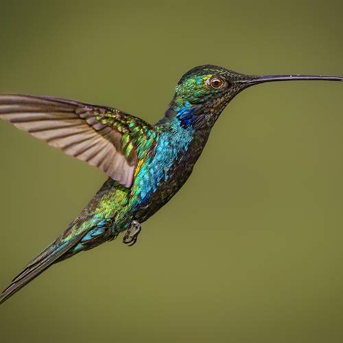 Фотография #11315146