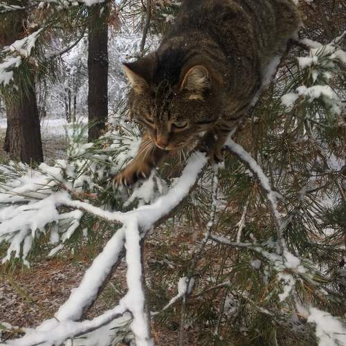 Photo #11315326