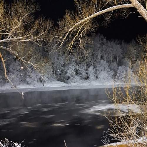 Photo #11315508