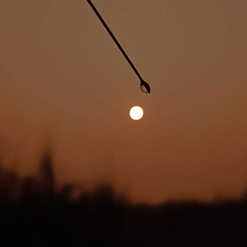 Photo #11315651