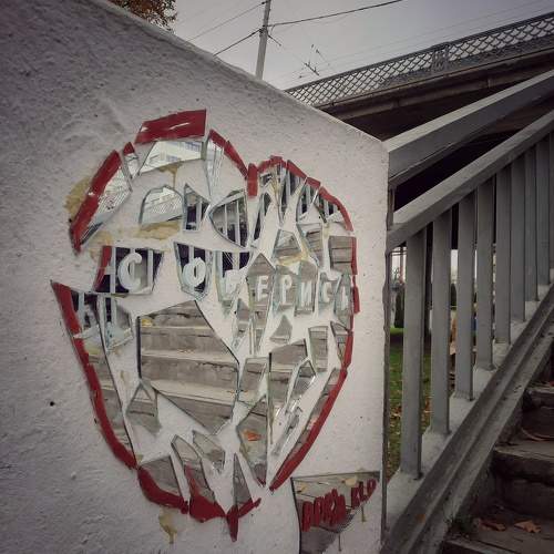 Photo #11316000