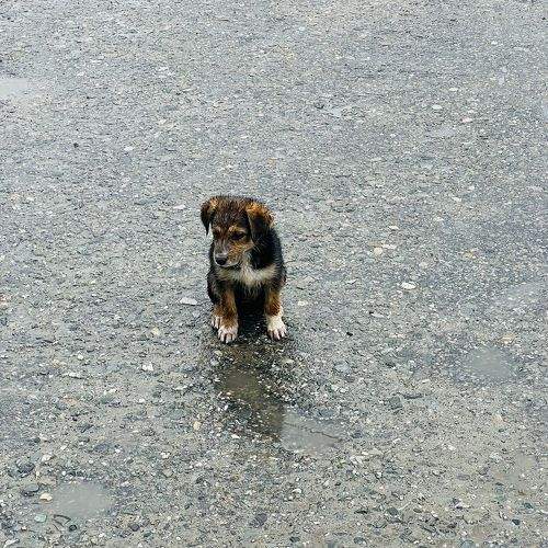 Photo #11316212