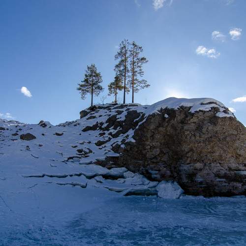 Photo #11316338