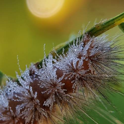 Photo #11316432
