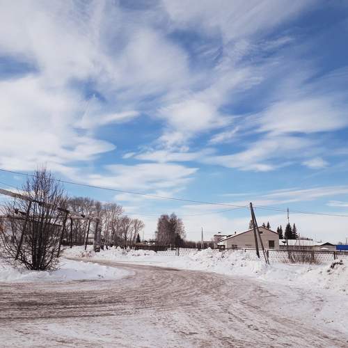 Photo #11316606