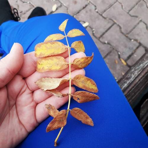 Photo #11316613