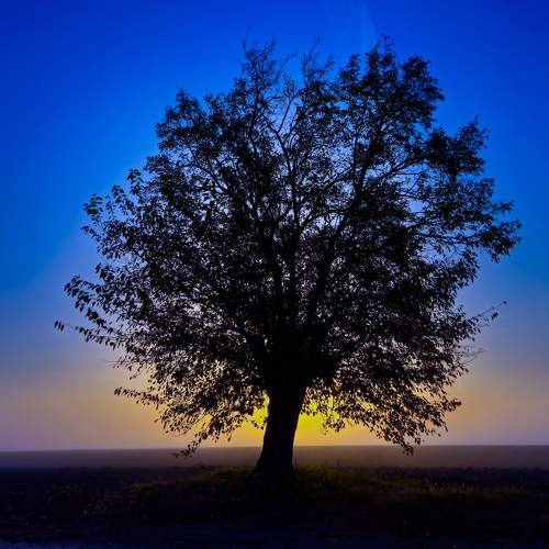 Photo #11316622
