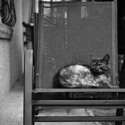 Photo #11317426