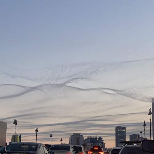 Photo #11317637
