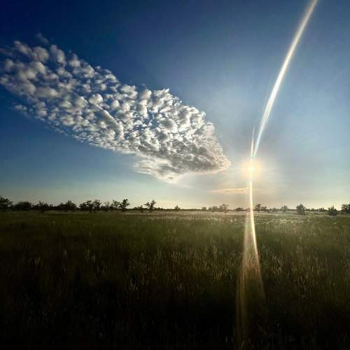 Photo #11317705
