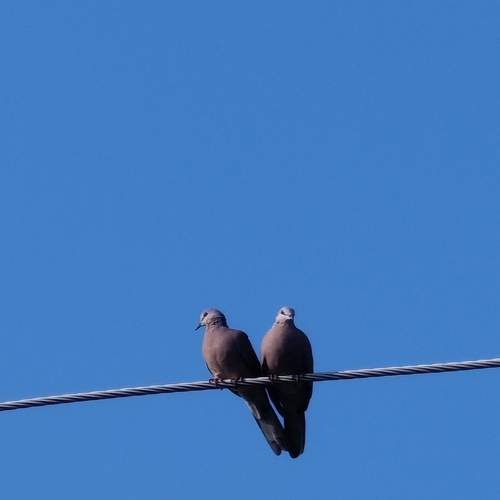 Photo #11317728