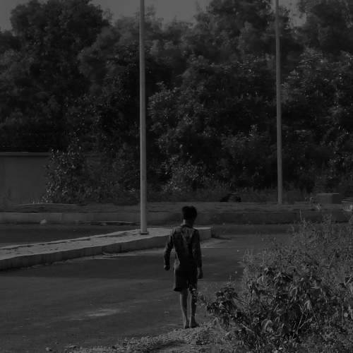 Photo #11317800