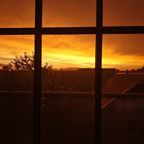 Photo #11317822