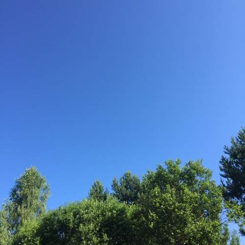 Photo #11317994