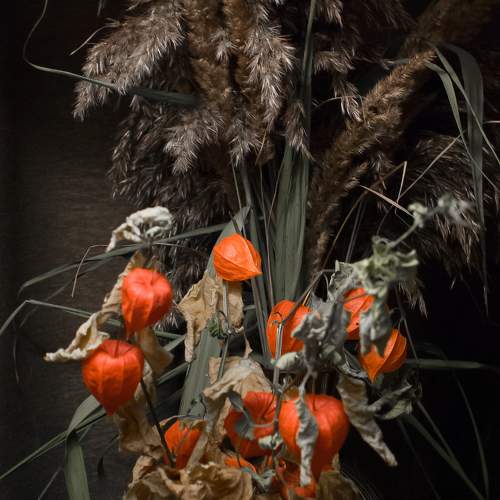 Photo #11318257