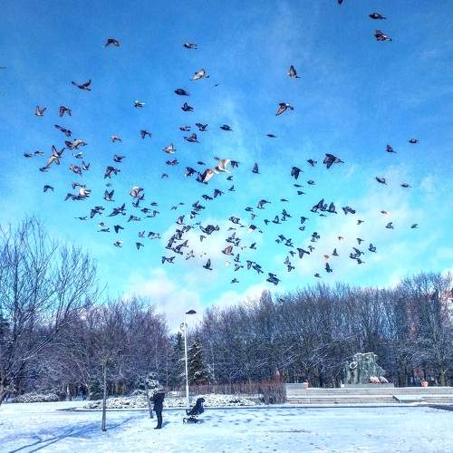 Photo #11318332