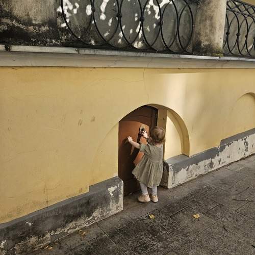 Photo #11318875