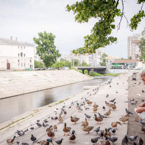 Photo #11319057