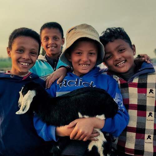 Photo #11319085