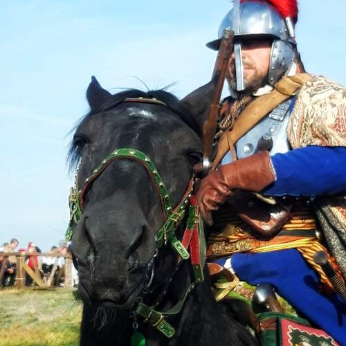 Photo #11319088