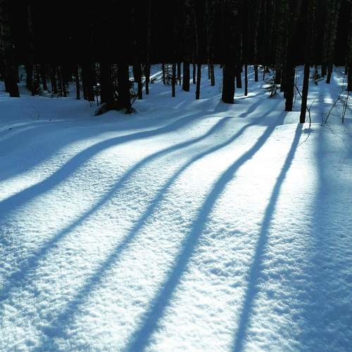 Photo #11319166