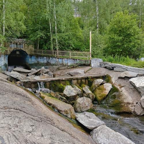 Photo #11319567