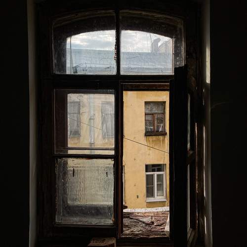 Photo #11319628