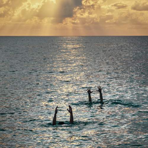 Photo #11319665