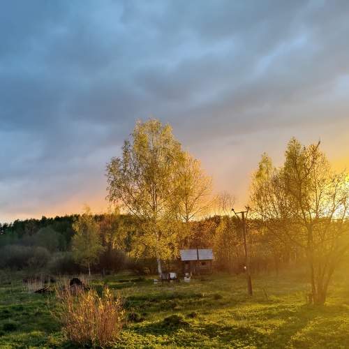 Photo #11319929