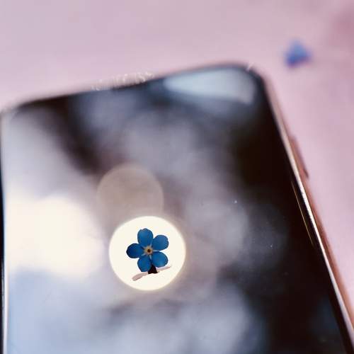 Photo #11320416