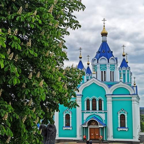 Photo #11320464