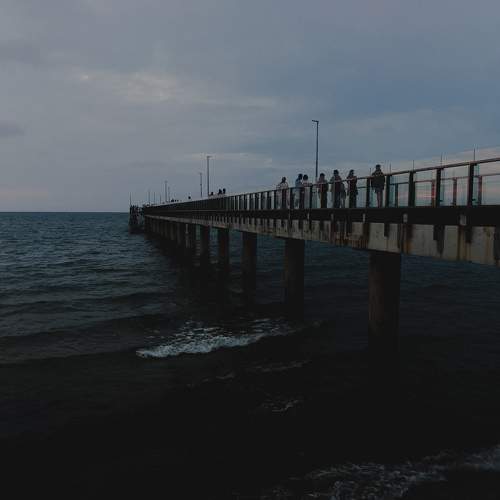 Photo #11320561