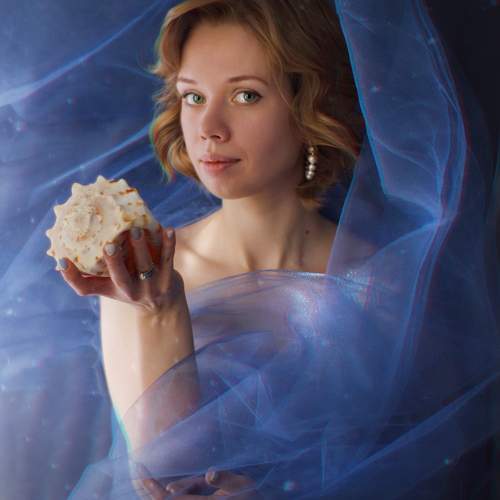 Photo #11320844