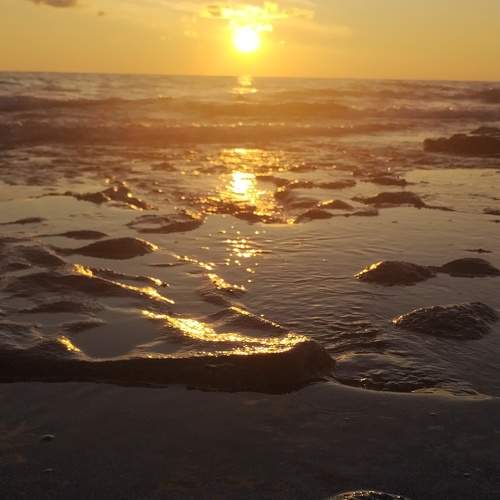 Photo #11320985