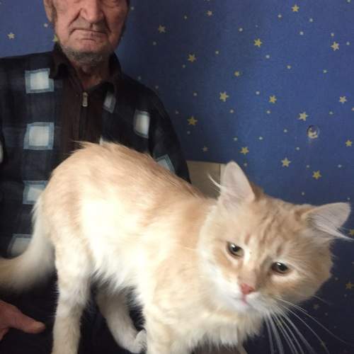 Photo #11321157