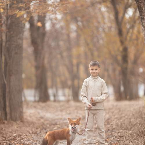 Photo #11321806