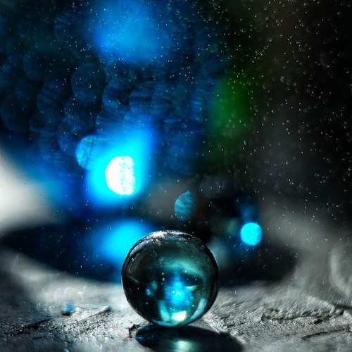 Photo #11321810
