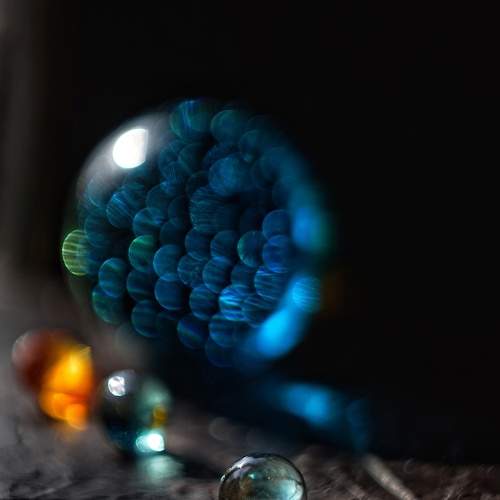 Photo #11321811
