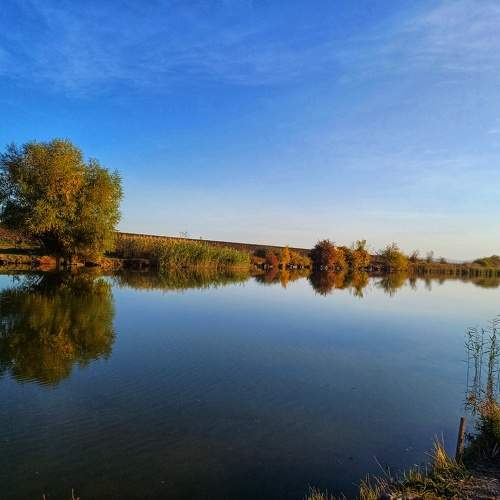Photo #11321839