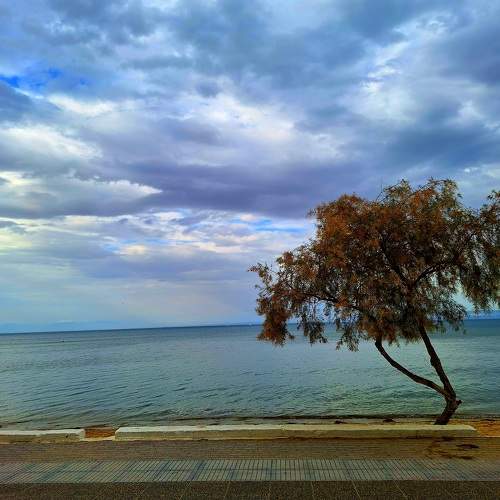 Photo #11321859