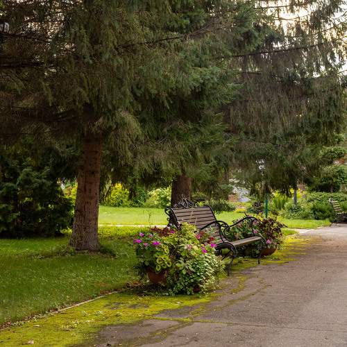 Photo #11321871