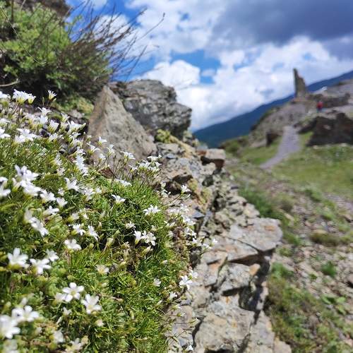 Photo #11321926
