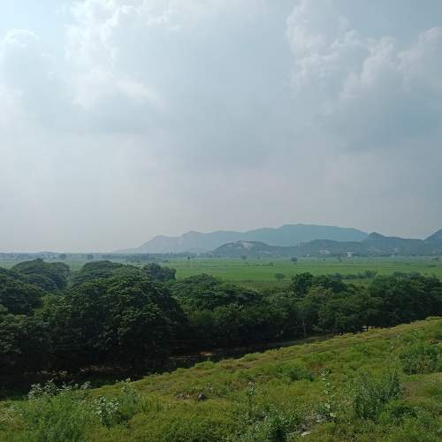 Photo #11321934