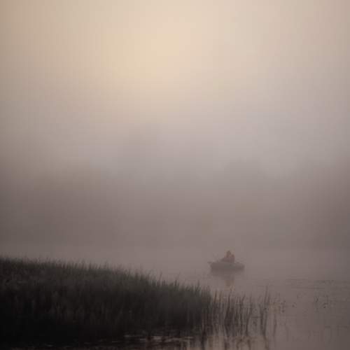 Photo #11321997