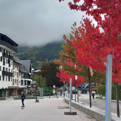 Photo #11322474