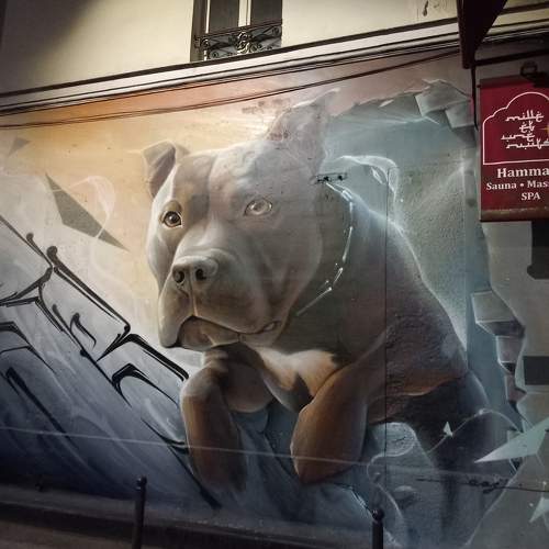 Photo #11322493
