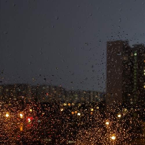 Photo #11322510