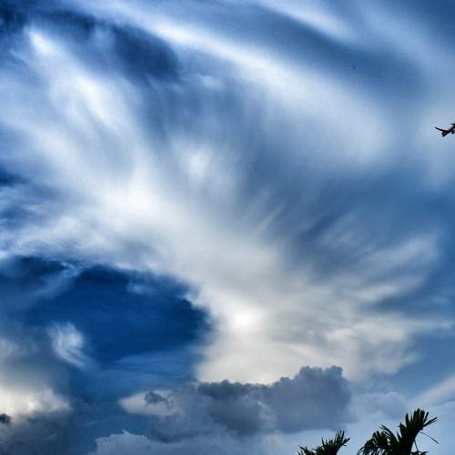 Photo #11322735