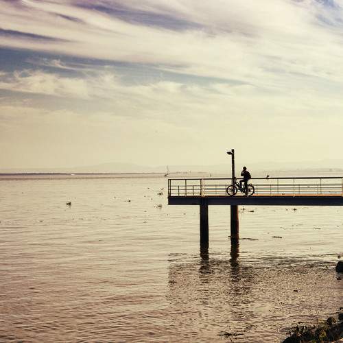 Photo #11323583