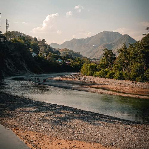 Photo #11323693